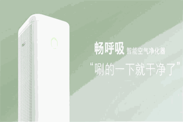 洛克施为空气净化器