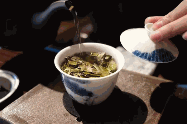 国宾茶叶