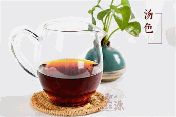 圣源茶业