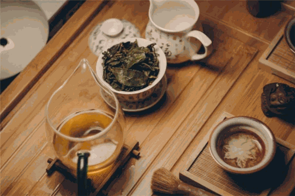 文公茶业