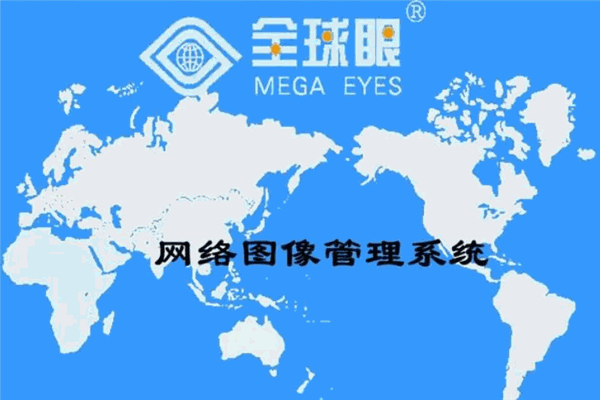 全球眼