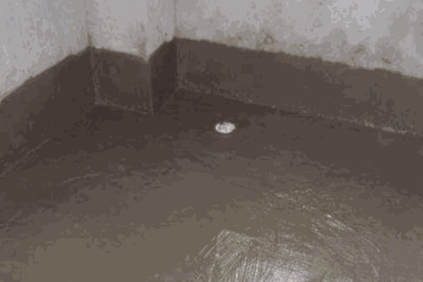 百年达防水涂料