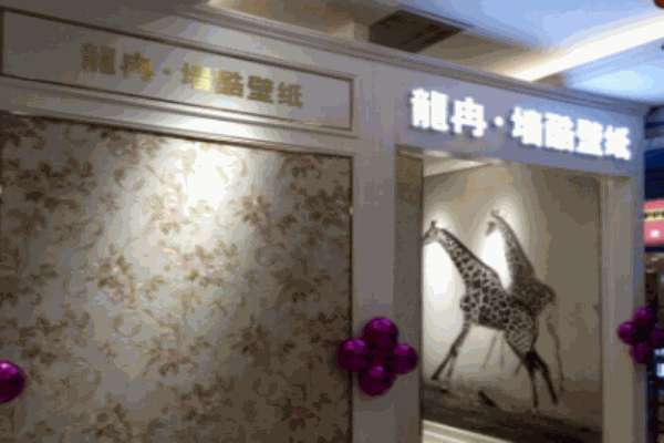 龙冉壁纸