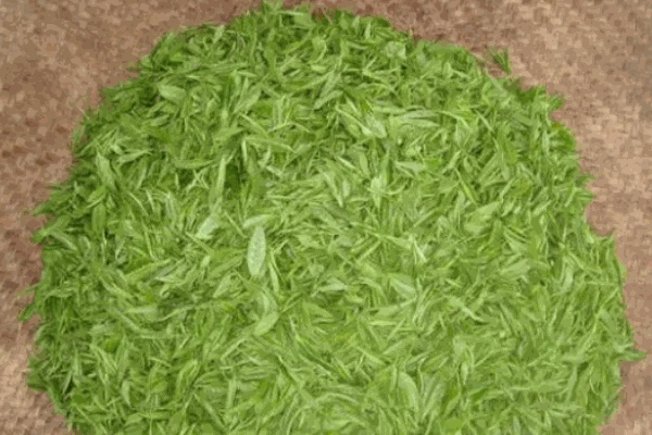 济茂堂茶业