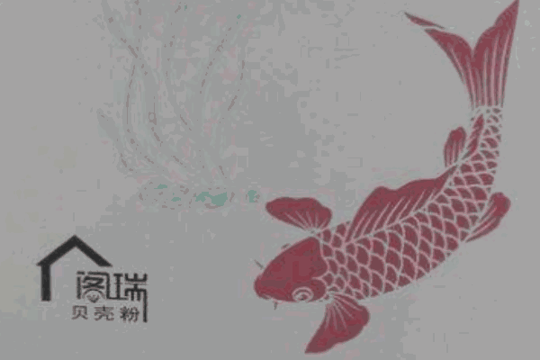 阁瑞贝壳粉