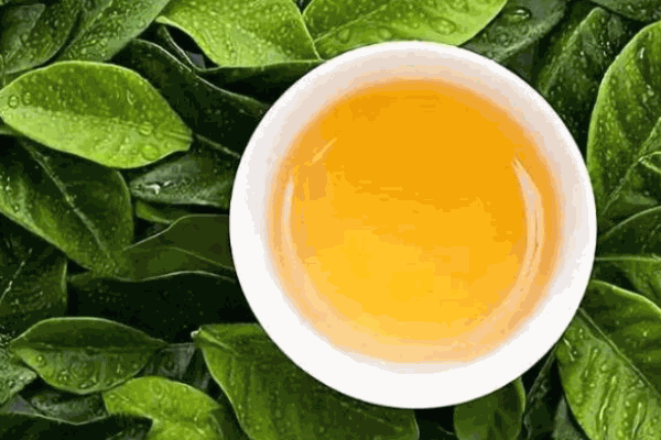 乾宫茗茶叶