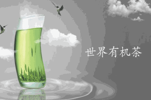 新安源有机茶