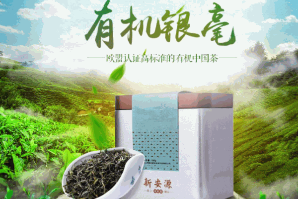 新安源有机茶