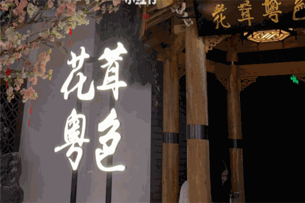 花茸粤色火锅