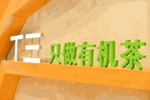 T三有机茶