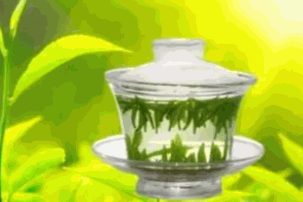 钧隆茶业