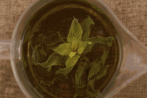 川之花茶叶