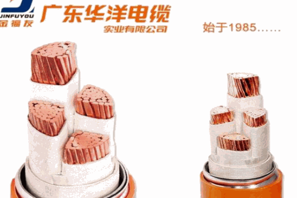 华洋电缆