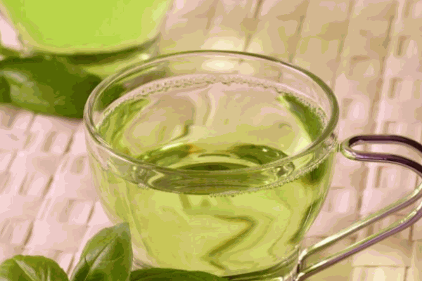 雾上春茶业