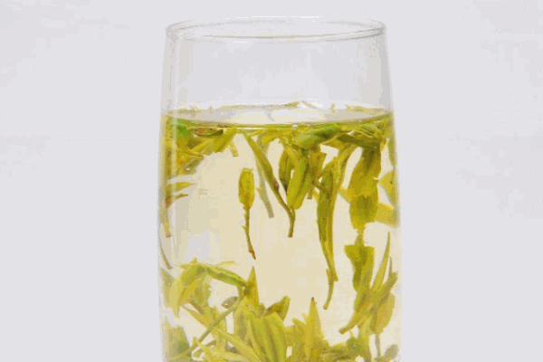 雾上春茶业