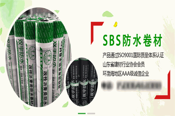 双宇涂料