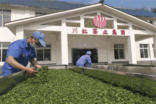 川红茶业