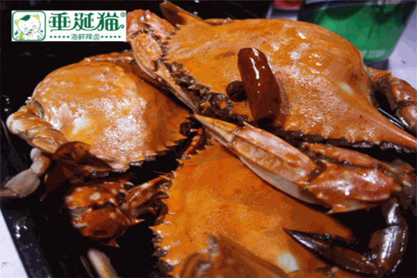 垂涎猫海鲜辣卤