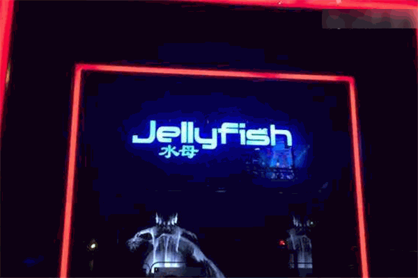 水母酒吧Jellyfish