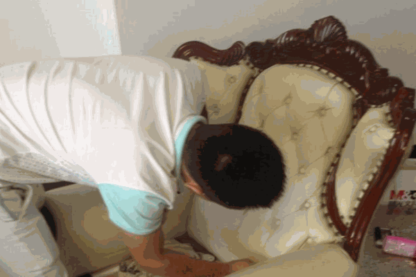 皮宝贝家具护理