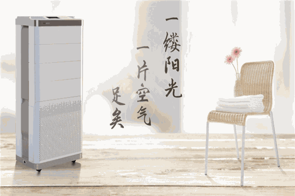 雅诗净化器