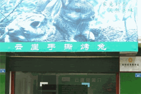 云崖兔