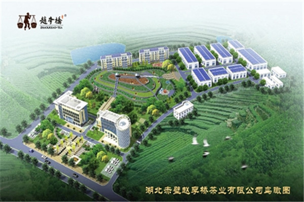 赵李桥茶业