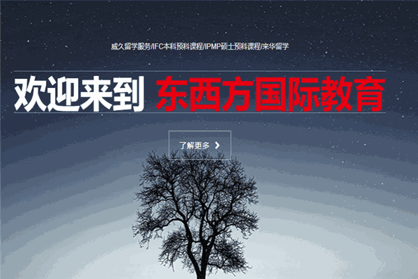 东西方国际教育