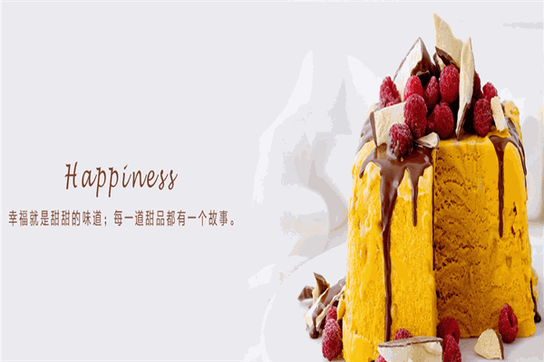 威尔丽食品