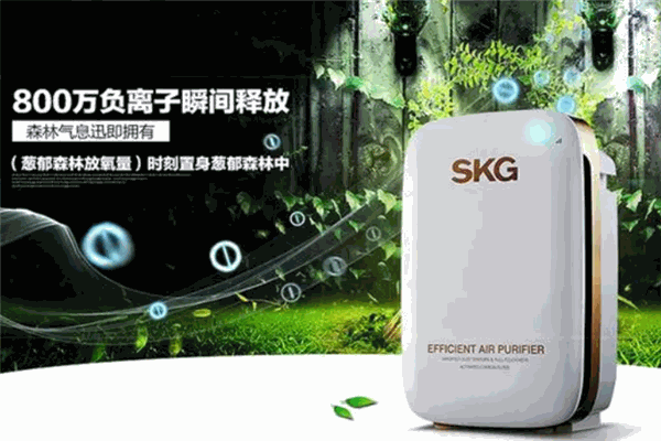skg空气净化器