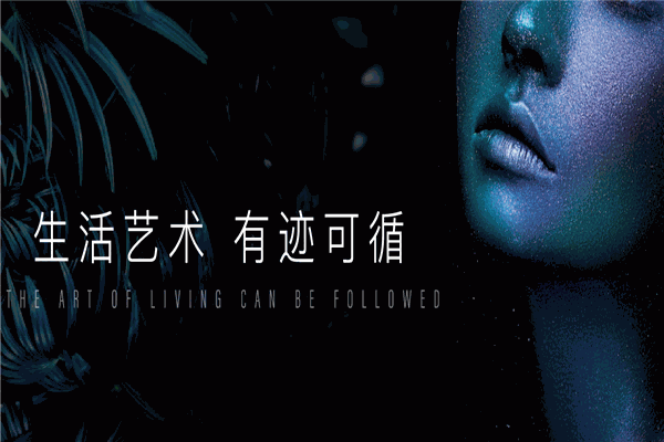 蔻帝艺术涂料