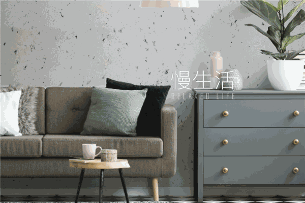 蔻帝艺术涂料