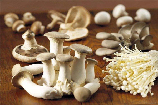 山宝食用菌