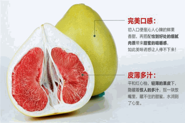 锦盛红肉蜜柚