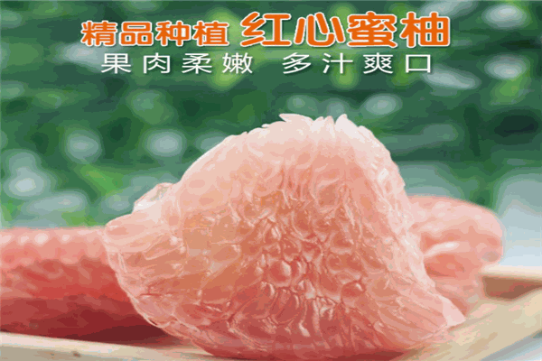 锦盛红肉蜜柚