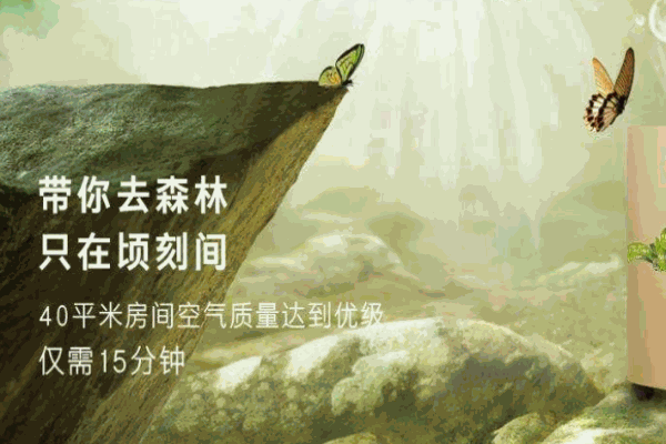 卡帝罗空气净化器