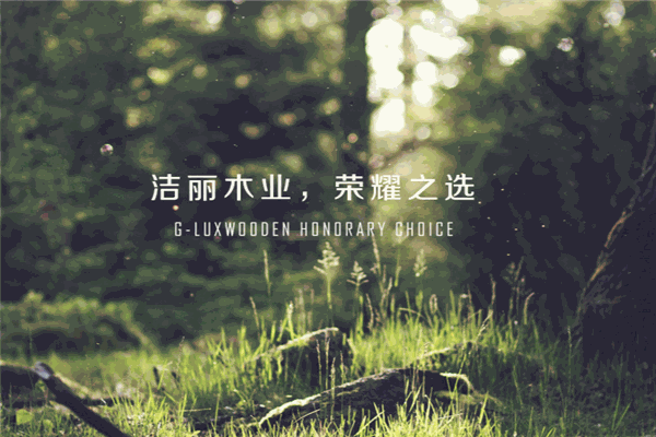 洁丽地板