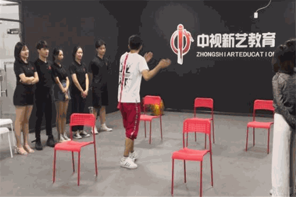 中视艺考