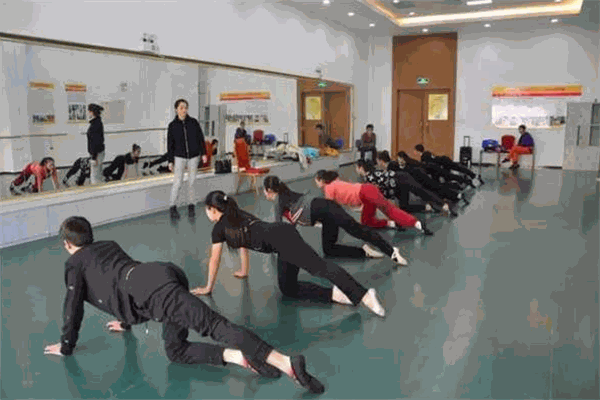 中视艺考