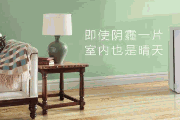 邦科尔空气净化