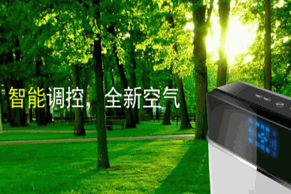 艾勀斯空气净化