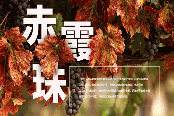 红宝石葡萄酒