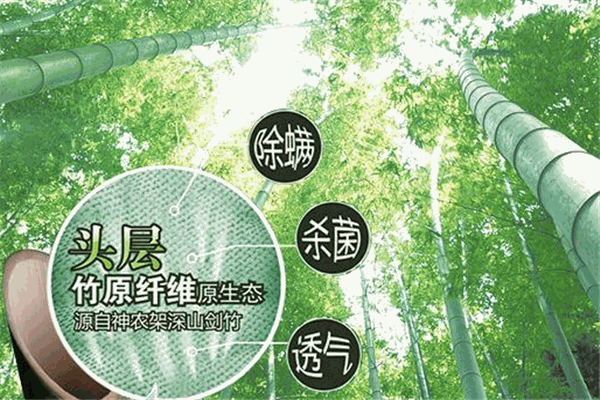 建州竹业