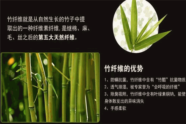 建州竹业