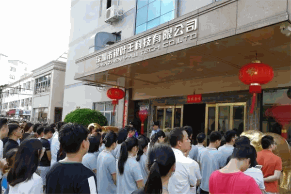 银叶王科技