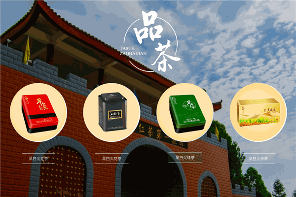 早白尖茶业