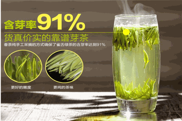 早白尖茶业