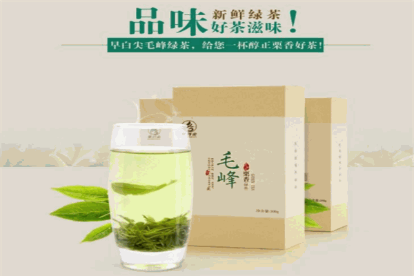 早白尖茶业