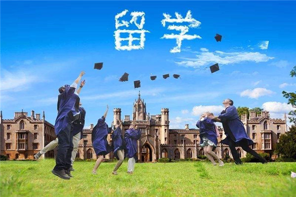 韦弦国际教育