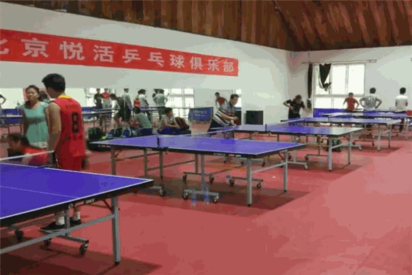 悦活体育